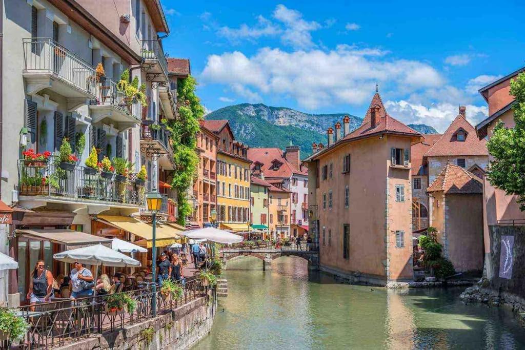 La Perle Du Thiou - Charmant T3 Au Centre D'Annecy Avec Parking Prive Экстерьер фото